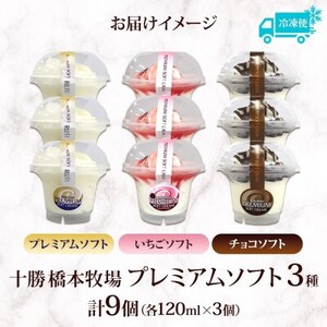 十勝橋本牧場 プレミアムソフト 全味食べ比べセット(3種×各3個)【配送不可地域：離島・沖縄県】【1675557】
