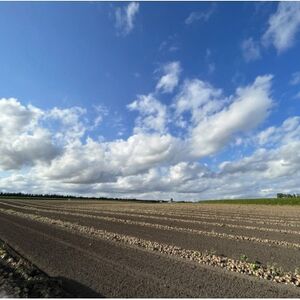 【訳あり】北海道 十勝 帯広産 玉ねぎ 20kg【配送不可地域：離島】【1677195】