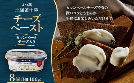よつ葉 北海道十勝 チーズペースト カマンベールチーズ入り 100g×8個【配送不可地域：離島】【1690062】 11,200円