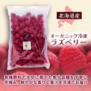 有機JAS認証 冷凍ラズベリー2種食べ比べセット 1kg (500g×2袋)【十勝産 希少品種】【配送不可地域：離島】【1677059】