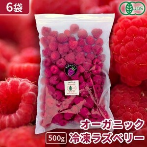 【北海道十勝産 希少品種】冷凍ラズベリー500g×6袋【配送不可地域：離島】【1677061】