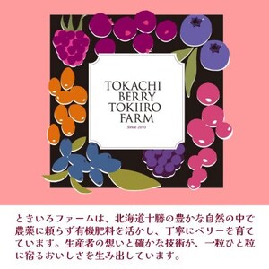 【令和8年8月以降出荷】有機JAS認証 冷凍ブルーベリー500g×1袋【北海道十勝産】【配送不可地域：離島】【1677071】