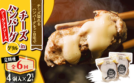 【毎月定期便】チーズ in ハンバーグ　グリル 4個入 (デミグラスソース)2セット全6回【配送不可地域：離島】【4080189】