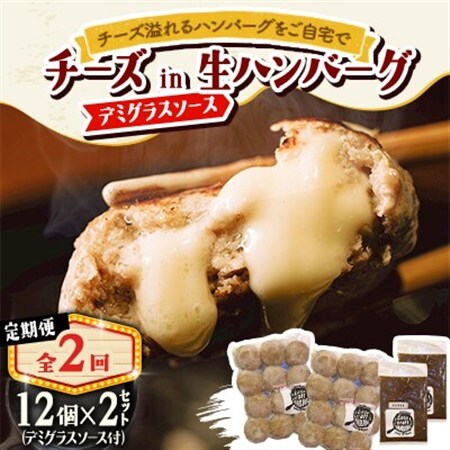 【毎月定期便】チーズ in ハンバーグ(生)12個入(デミグラスソース250g) 2セット全2回【配送不可地域：離島】【4080195】