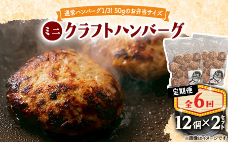 【毎月定期便】ミニクラフトハンバーグ(ミニ12個入り 1セット)　ソースなし 2セット全6回【配送不可地域：離島】【4080200】