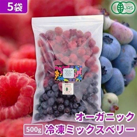 【令和8年8月以降出荷】【北海道十勝産 贅沢ブレンド】冷凍ミックスベリー500g×5袋【配送不可地域：離島】【1677084】 6,390円