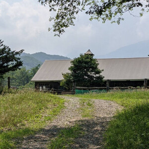 香林農園ナチュラルチーズ　牛セミハードチーズ　北海道　日高山脈の麓のチーズ農家_卵・乳製品 チーズ  _【配送不可地域：離島】【1212313】
