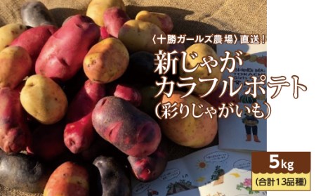 【十勝ガールズ農場】直送!新じゃが「カラフルポテト(彩りじゃがいも)」いろいろ試せる5kg!【1214612】