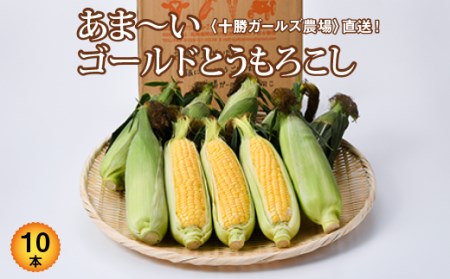 先行受付【十勝ガールズ農場】直送 朝もぎつぶつぶ「あま~いゴールドとうもろこし」10本【1214565】