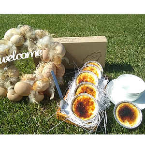 十勝産原料使用　濃厚クレームブリュレ　10個入り_菓子・スイーツ 洋菓子  _【配送不可地域：離島】【1233843】