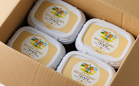 ゴールデンジャージーヨーグルト　450g×4個_卵・乳製品 ヨーグルト  _【配送不可地域：離島】【1301319】