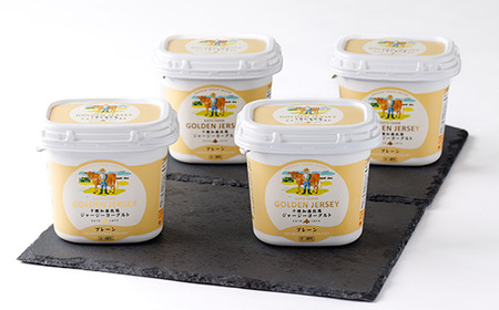 ゴールデンジャージーヨーグルト　450g×4個_卵・乳製品 ヨーグルト  _【配送不可地域：離島】【1301319】