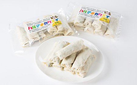 十勝餃子手房にしかわのハルマキカクメイ五目セット_惣菜・加工品 _【配送不可地域:離島】【1358858】