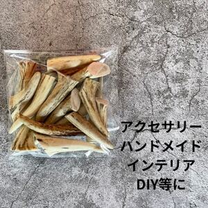 鹿の角 枝先5cm前後100gセット 北海道産 アクセサリー クラフト材_雑貨   _【1414199】