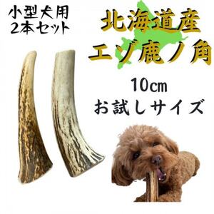 鹿の角 お試しサイズ 10cm 2本 犬のおもちゃ デンタルケア 小型犬用_ ペット用品  _【1415910】
