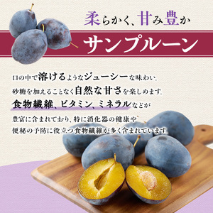 [先行受付] 北海道仁木町産 プルーン 800g ( サンプルーン ) 厳選品 果物 フルーツ 国産 高糖度 ほどよい酸味 北海道産プルーン 国産プルーン [松山商店]