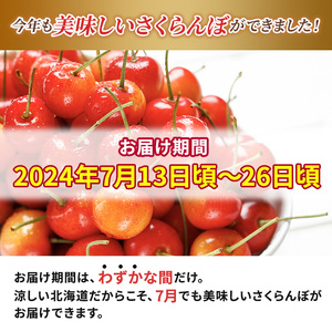 北海道 仁木町産 サクランボ 紅秀峰 600g L-Mサイズ  松山商店