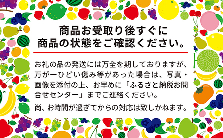 [先行受付/2025年] 仁木町産 さくらんぼ 「佐藤錦」 バラ詰め 500g ［妹尾観光農園］【 北海道 仁木 果物 フルーツ チェリー サクランボ 】