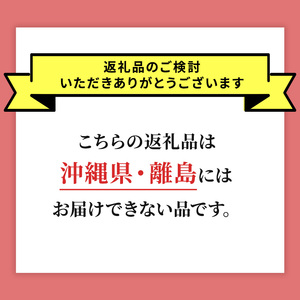 北海道 仁木町産 さくらんぼ 南陽 400g×2P Lサイズ  サクランボ 果物 フルーツ チェリー