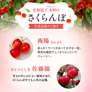 先行受付 北海道 仁木町産「匠」 さくらんぼ 【 佐藤錦 】300g×2 嶋田