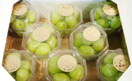 [先行受付] シャインマスカット『 LA・LA・SHINE （ ラ・ラ・シャイン ）』 180g×8パック 果物 くだもの フルーツ マスカット [JA新おたる]