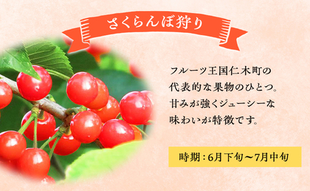 妹尾観光農園 フルーツ狩りチケット4000円 割引 チケット クーポン 利用券 フルーツ 旅行 体験 農園 北海道 仁木町 [フルーツショップ妹尾観光農園]