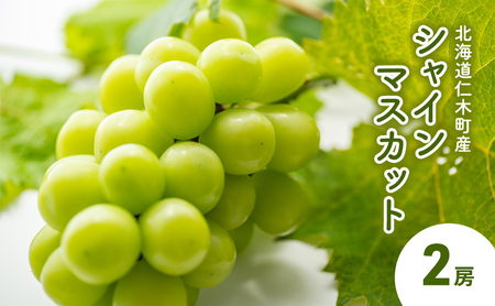 [先行受付] 北海道 仁木町産 シャインマスカット 2房 ぶどう マスカット 果物 くだもの フルーツ 季節のフルーツ [鶴田農園]