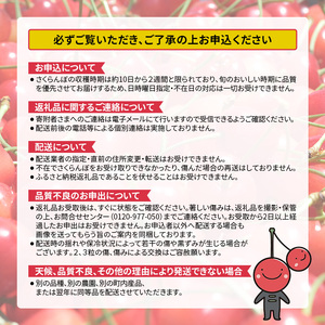 先行受付 北海道 仁木町産  さくらんぼ 紅秀峰 360g (180g×2パック) Lサイズ以上　旬 桜桃 産地直送 サクランボ チェリー フルーツ 果物 果物類  仁木町 仁木 [松山商店]