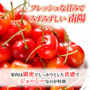 先行受付 北海道 仁木町産 さくらんぼ 南陽 360g （180g×2パック）  Lサイズ以上 旬 桜桃 産地直送 サクランボ チェリー フルーツ 果物 果物類  仁木町 仁木 [松山商店]