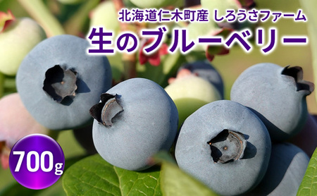 [先行受付] 北海道 仁木町産 有機栽培ブルーベリー700g サイズ混合 果物 くだもの フルーツ ブルーベリー[しろうさファーム]