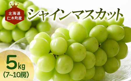 [先行受付] 北海道 仁木町産 シャインマスカット 7～10房 5kg 果物 ぶどう フルーツ 果物類 ブドウ マスカット [JA新おたる]