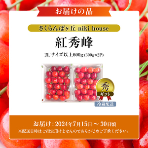 先行予約 農園厳選 さくらんぼ 紅秀峰 2Lサイズ 以上600g（品質： ギフト 向け）