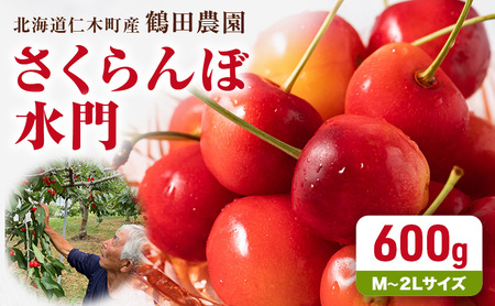 先行受付 数量限定 北海道 仁木町産  さくらんぼ 水門 600g M～2Lサイズ  朝採り  サクランボ チェリー フルーツ 果物 果物類  仁木町 仁木 [鶴田農園]