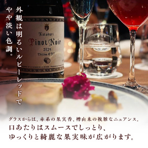 かたくり ピノ・ノワール エディション CBT 2024 ラ・メゾン・ド・ラ・リヴィエール 赤ワイン ぶどう ピノノワール 北海道産 お酒 酒 洋酒 果実酒 アルコール 北海道 仁木町 [ 株式会社Souplesse ]