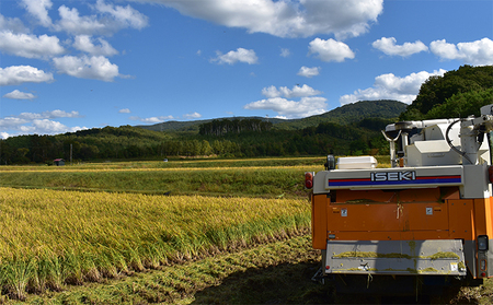 【2025年産米】銀山米研究会の無洗米 ＜ゆめぴりか＞ 5kg  ご飯 ライス 白米 ブランド米 おにぎり お弁当 北海道産 産地直送 ご飯 時短 朝ごはん 夜ごはん 昼ごはん [株式会社 松原米穀]