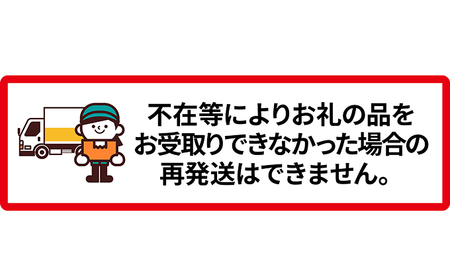 先行受付/2024年7月出荷開始】仁木町産 さくらんぼ「紅秀峰」600g