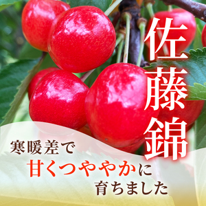 北海道 仁木町産 さくらんぼ 佐藤錦 1kg (500g×2)  藤田農園 サクランボ 果物 フルーツ チェリー  仁木