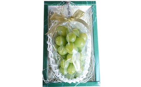 [先行受付] 厳選 北海道 仁木町産 シャインマスカット 1房 約600g 果物 ぶどう フルーツ 果物類 ブドウ シャインマスカット マスカット [和田農園]