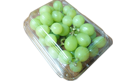 [先行受付] 北海道 仁木町産 シャインマスカット バラ詰め 約1.6kg（400g×4パック）果物 ぶどう フルーツ 果物類 ブドウ マスカット [松山商店]