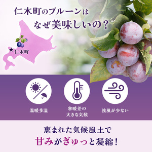 [先行受付] 【9月発送】北海道 仁木町産 おすすめプルーン1.6kg（400g×4パック） 果物類 果物 くだものフルーツ 果物詰合せ プルーン [和田農園]
