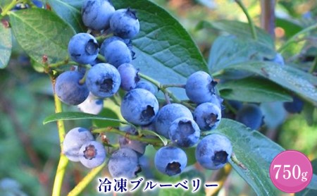 <仁木ファーム>北海道仁木町産冷凍ブルーベリー 750g