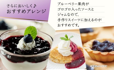 無地熨斗 北海道産 ブルーベリーソース 1本 ブルーベリージャム 2個 セット ジャム瓶 ブルーベリー 詰め合わせ のし付き フルーツ 果物 自然農園 お取り寄せ ギフト 贈り物 産地直送 のし 北海道 仁木町 