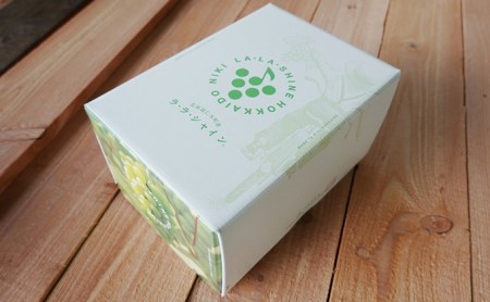 [先行受付] JA新おたる シャインマスカット『LA・LA・SHINE（ラ・ラ・シャイン）』 1房 600g前後 果物 フルーツ ぶどう 旬の果物 産地直送 北海道産 仁木町産 化粧箱 [JA新おたる]