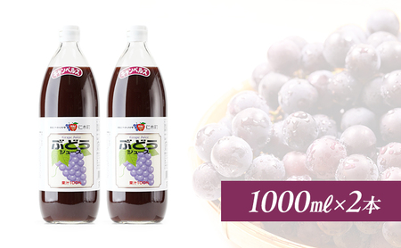 北海道仁木産ぶどうジュース（品種：キャンベルス）：1000ml×2本 果汁飲料 ジュース ブドウ 葡萄 渋み 甘み 酸味 調和 こだわり 濃厚 ストレート [JA新おたる]