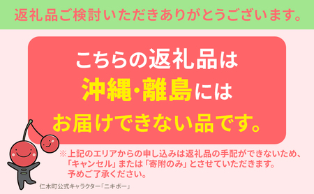  北海道 仁木町産  JA新おたる さくらんぼ 南陽 1.2kg（300g×4パック）