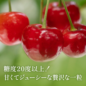 先行受付 北海道 仁木町産 ジャンボサイズ さくらんぼ 【 南陽 】 2Lサイズ以上 300g×2パック 計600g　サクランボ チェリー フルーツ 果物 果物類  仁木町 仁木 [嶋田茂農園匠]