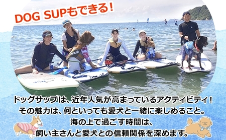 【 ふるさと納税 】Pono Outdoor Sport Labo SUP アウトリガーカヌー 半日体験チケット マリンスポーツ 海 初心者歓迎 サップ SUP カヌー ドッグサップ 犬 親子 神奈川県 逗子市