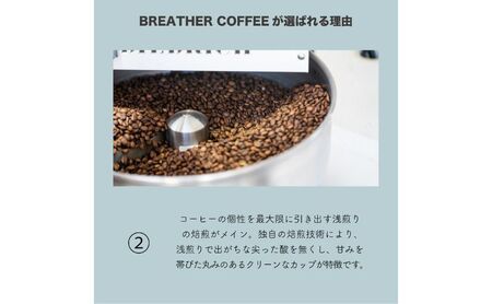 BREATHER COFFEE 珈琲飲み比べセット100g x 3袋 挽き方選択可 コーヒー 豆 極細引き エスプレッソ用 中粗挽き ペーパードリップ用 スペシャリティコーヒー 極細引き