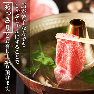 牛肉 冨士屋牛肉店がお届けする 葉山牛 黒毛和牛 しゃぶしゃぶ 500g 発送可能時期より順次発送予定※最大2ヶ月