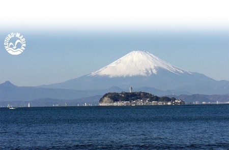 【小坪マリーナ】ボートレンタル・ライセンス・陸置保管料・店内ご利用割引チケットC